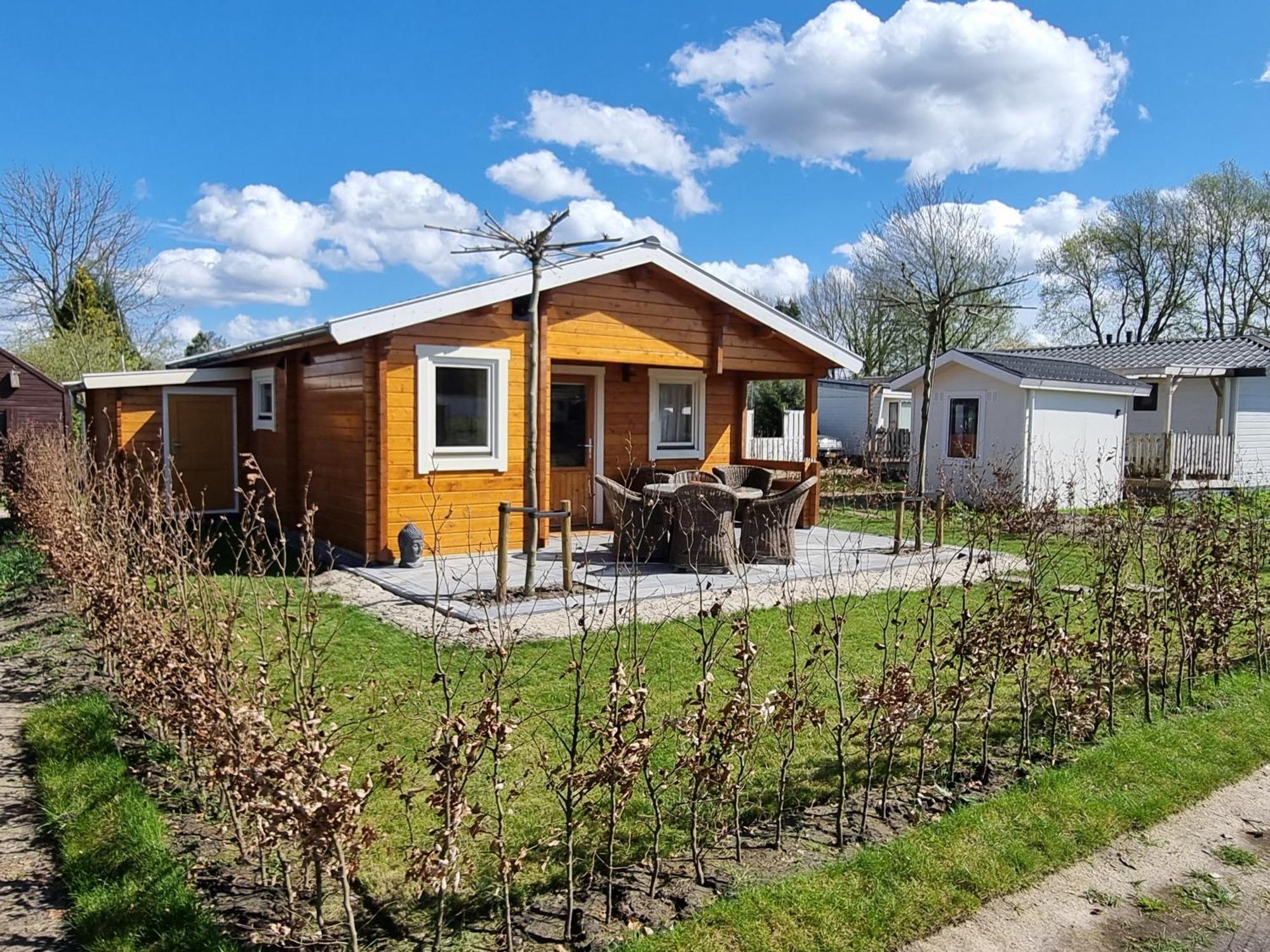 Nieuw - Luxe Blokhut Chalet In Bosrijke Omgeving Anloo Exteriér fotografie