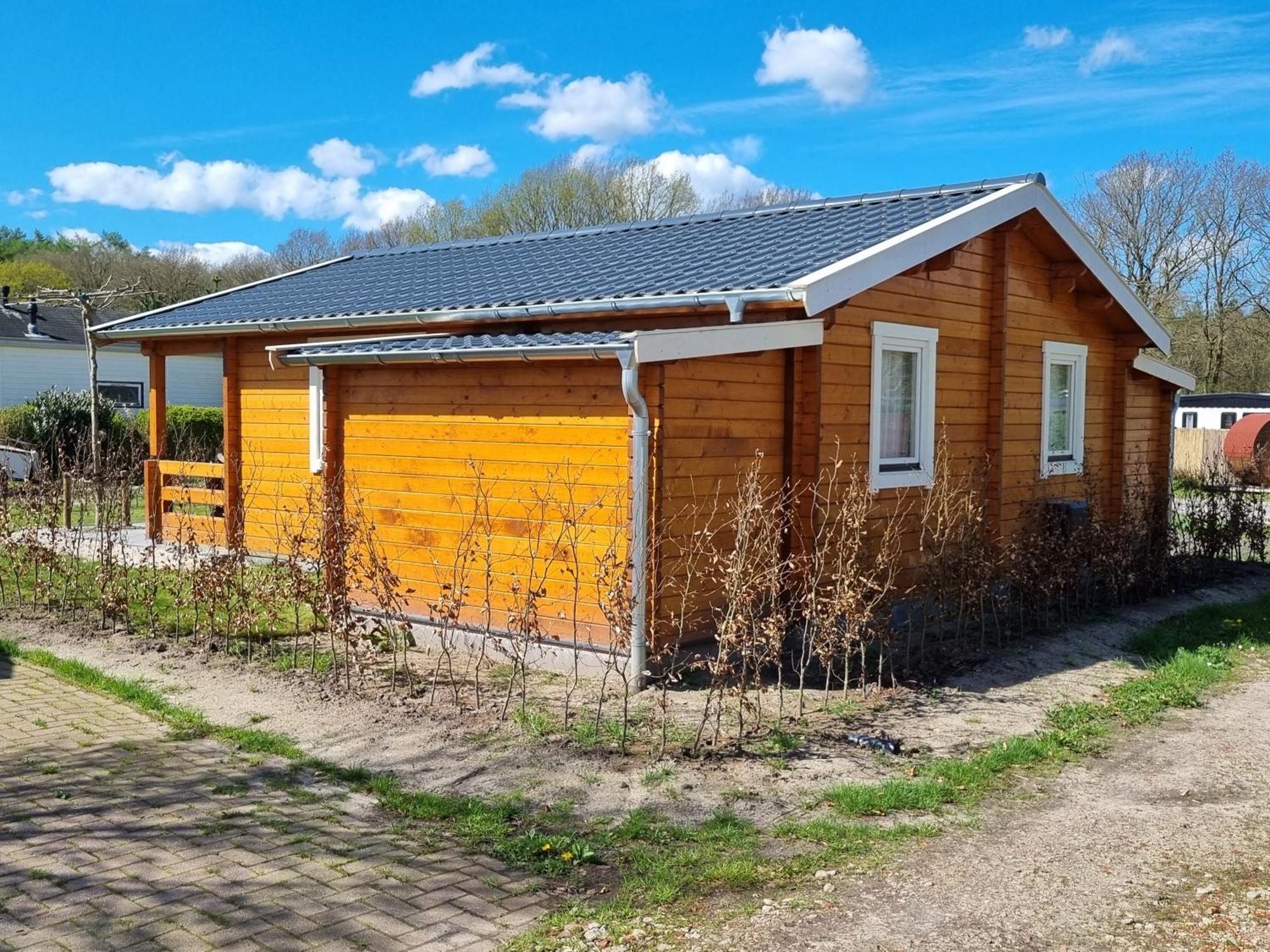 Nieuw - Luxe Blokhut Chalet In Bosrijke Omgeving Anloo Exteriér fotografie