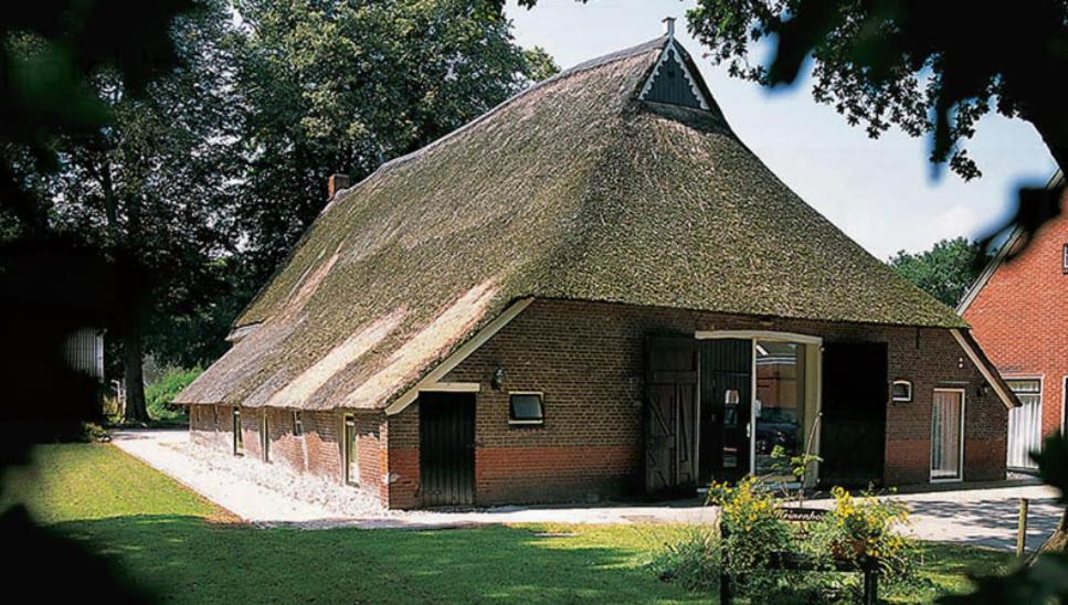 Nieuw - Luxe Blokhut Chalet In Bosrijke Omgeving Anloo Exteriér fotografie