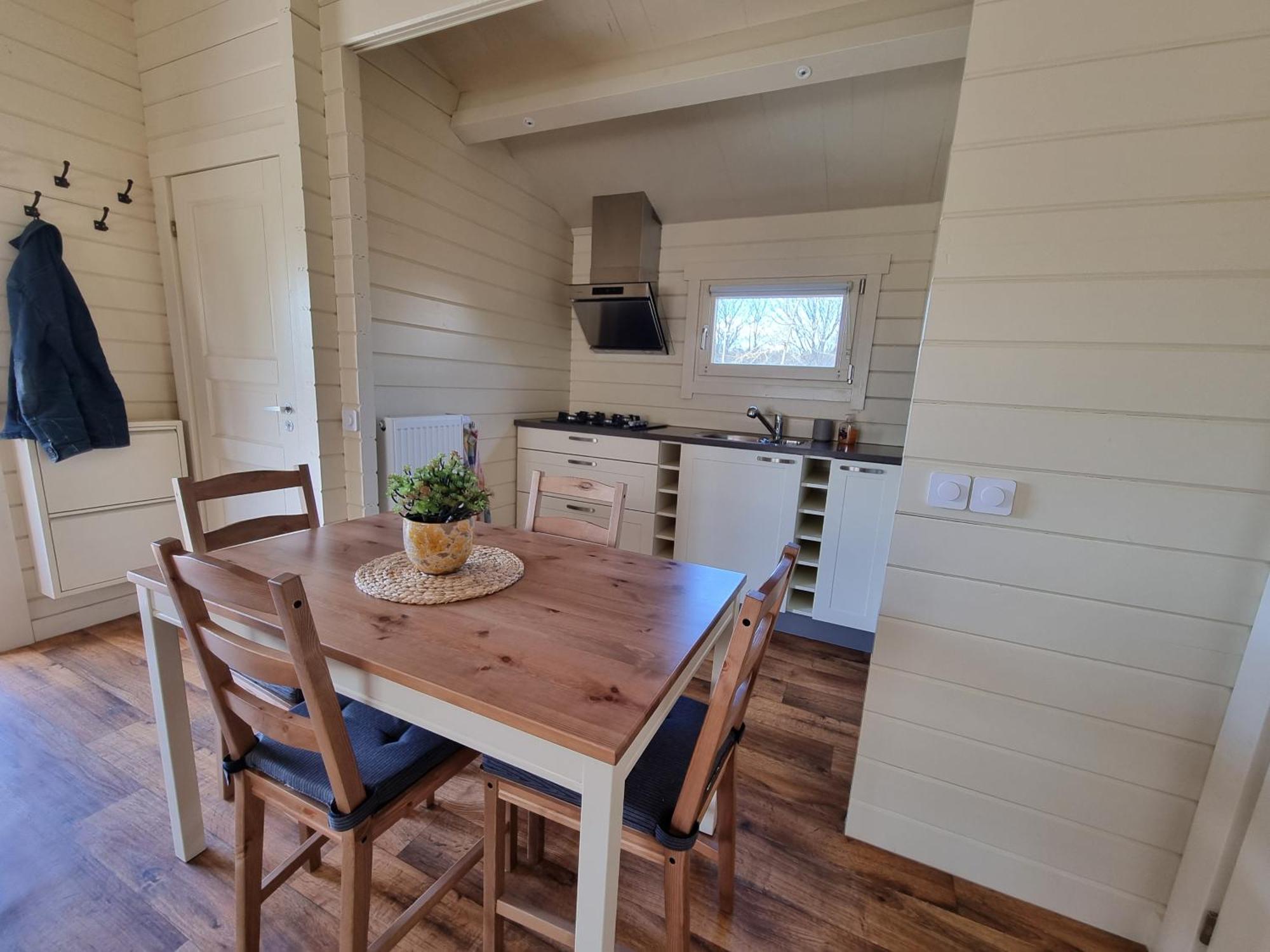 Nieuw - Luxe Blokhut Chalet In Bosrijke Omgeving Anloo Exteriér fotografie