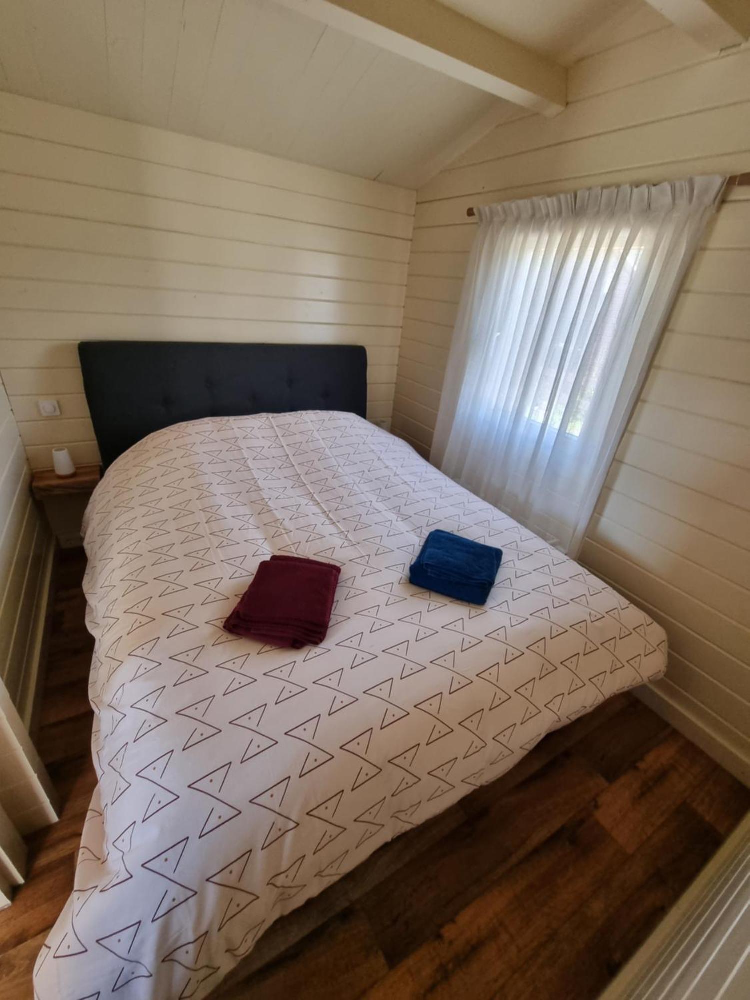 Nieuw - Luxe Blokhut Chalet In Bosrijke Omgeving Anloo Exteriér fotografie