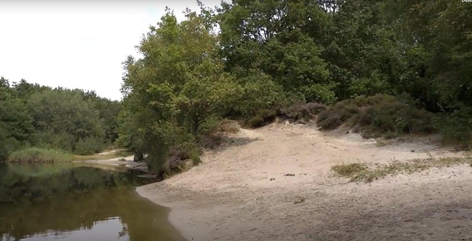 Nieuw - Luxe Blokhut Chalet In Bosrijke Omgeving Anloo Exteriér fotografie
