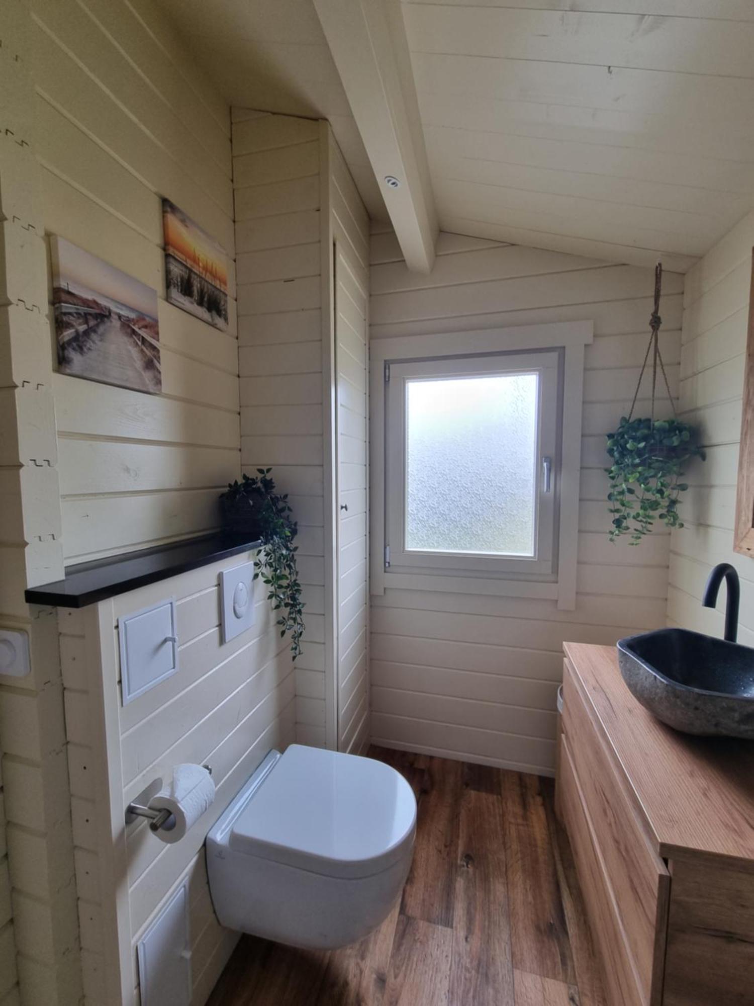 Nieuw - Luxe Blokhut Chalet In Bosrijke Omgeving Anloo Exteriér fotografie