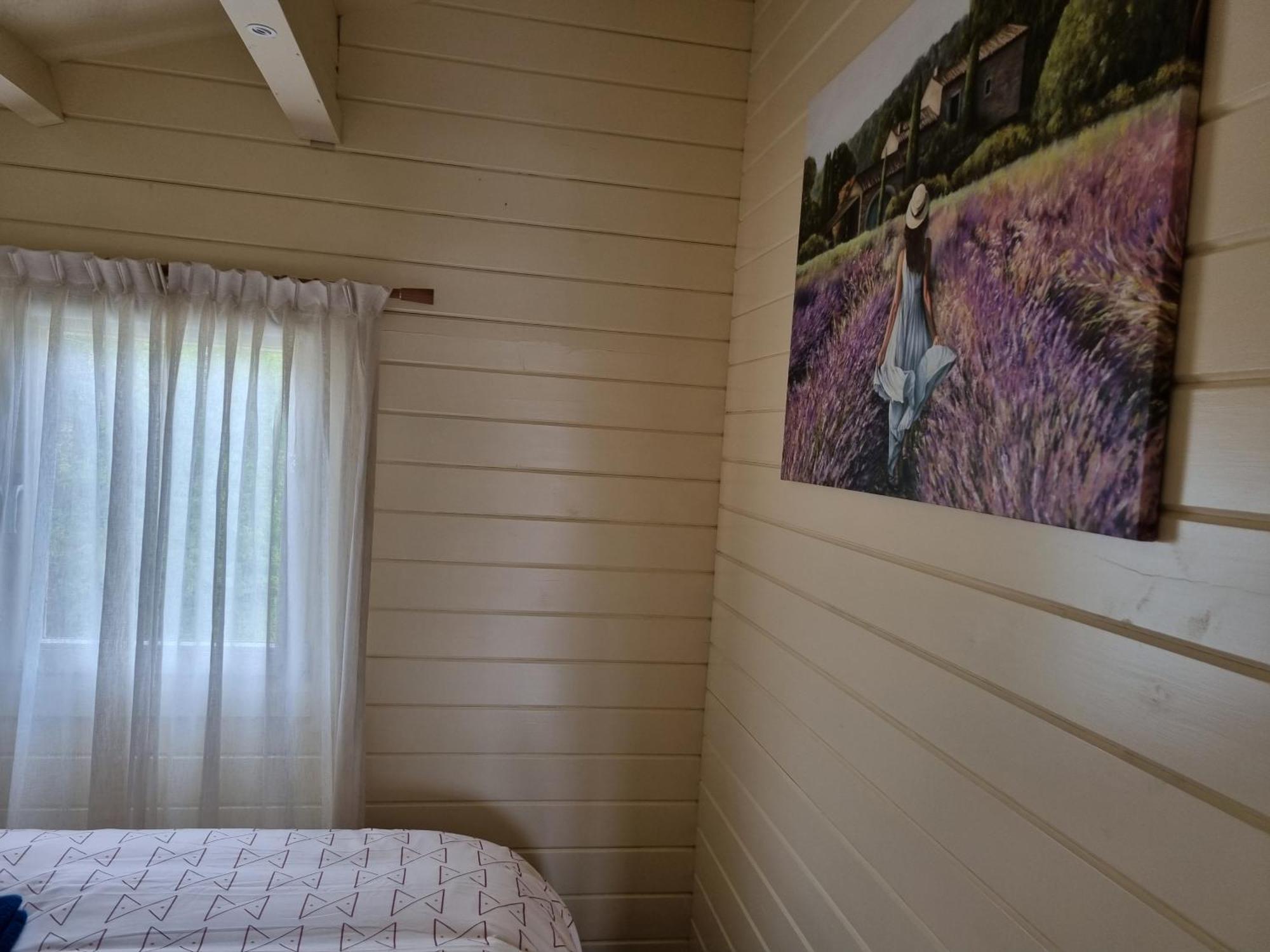 Nieuw - Luxe Blokhut Chalet In Bosrijke Omgeving Anloo Exteriér fotografie