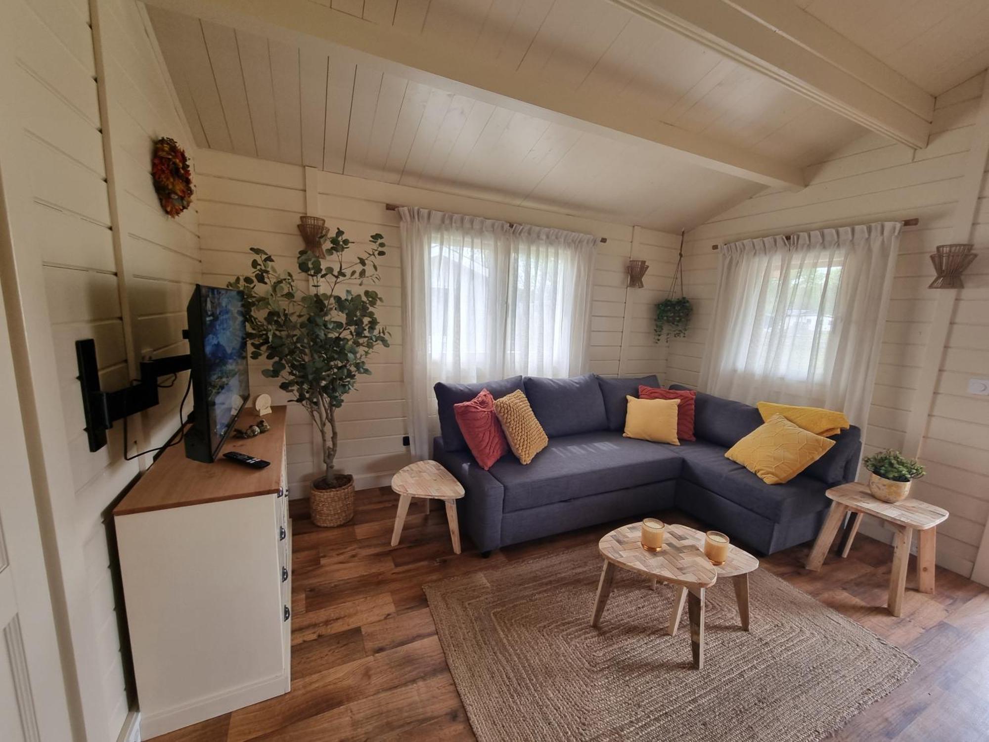 Nieuw - Luxe Blokhut Chalet In Bosrijke Omgeving Anloo Exteriér fotografie